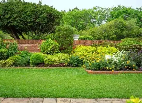 landscaping services Golden Valley